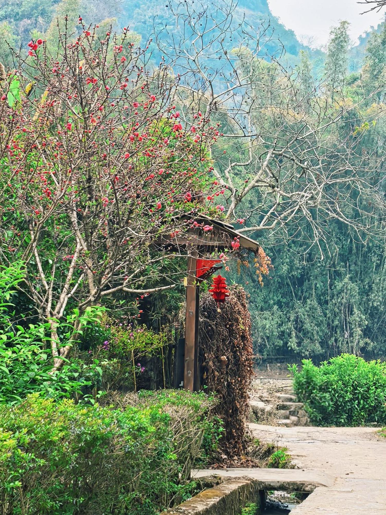 The Apsara Lodge Yangshuo Eksteriør billede